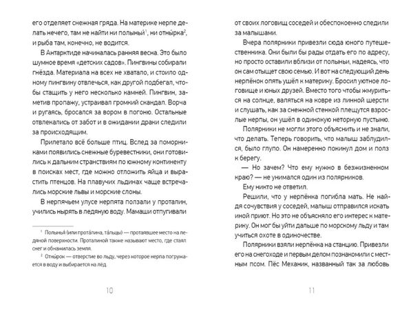 Куда уходит кумуткан. Брат мой Бзоу