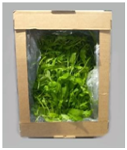 Руккола 100 гр от "Harvest"