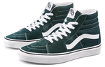 Vans Sk8