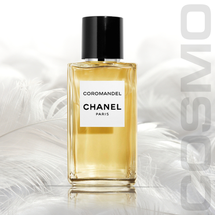 **Chanel Coromandel