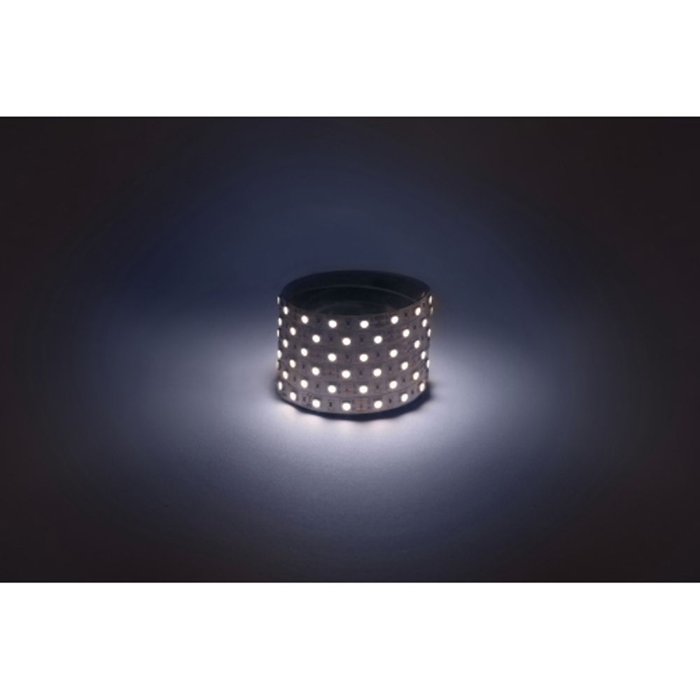 Светодиодная лента ЭРА LS5050-14,4-60-12-6500K-IP20-1 year-50m холодный белый 1 год | Светодиодные ленты 12В 1 год