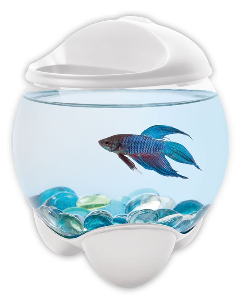 Tetra Betta Bubble белый - аквариум-шар 1,8 л. для петушков с освещением
