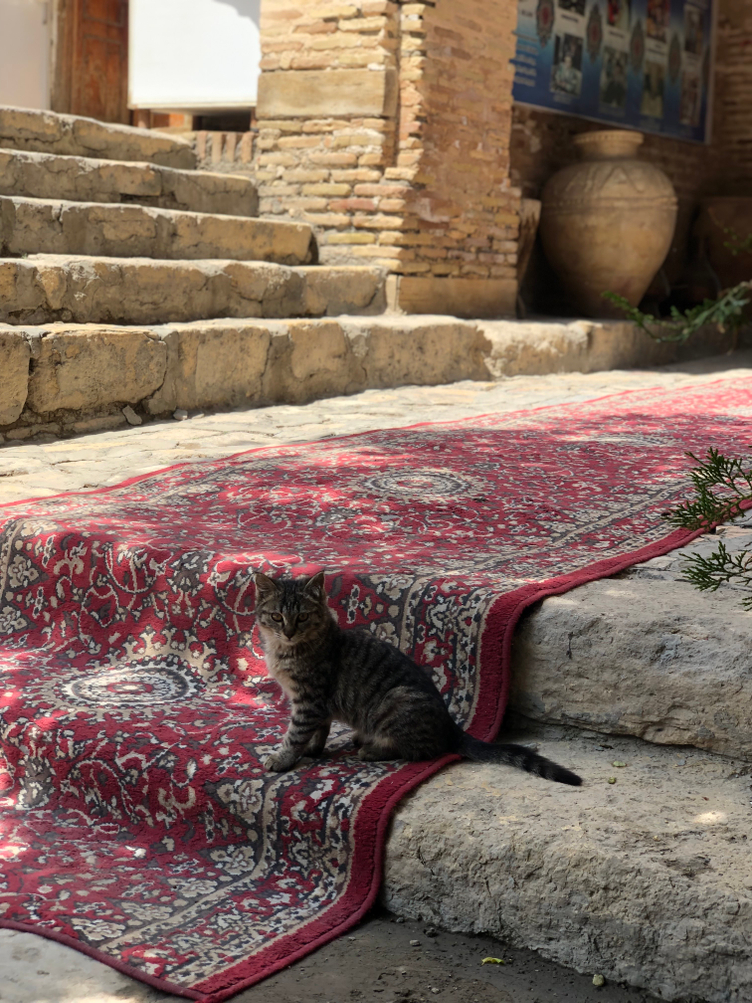 Улица и ее ритмы.