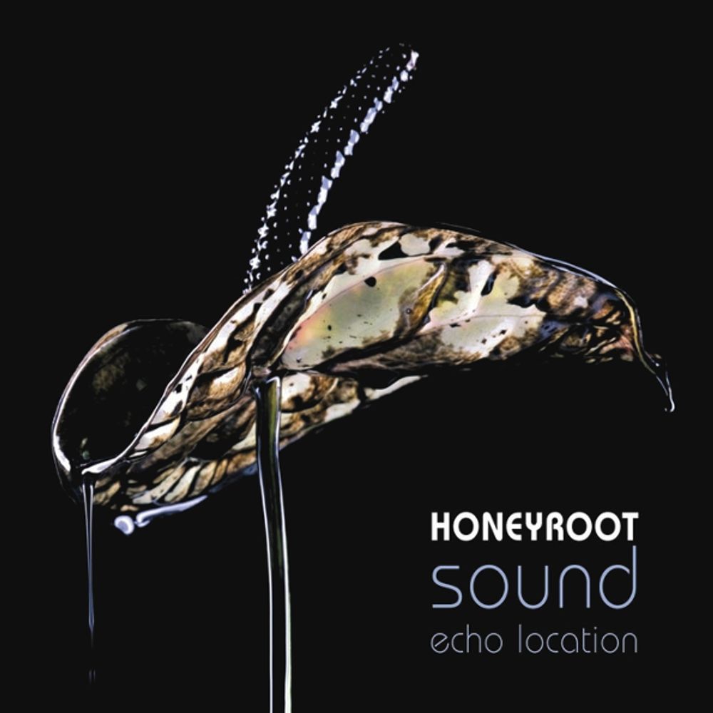 Honeyroot / Sound Echo Location (RU)(CD)