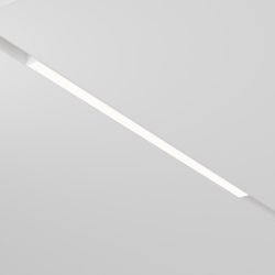 Трековый магнитный светодиодный светильник Maytoni Exility TR030-2-24W4K-W