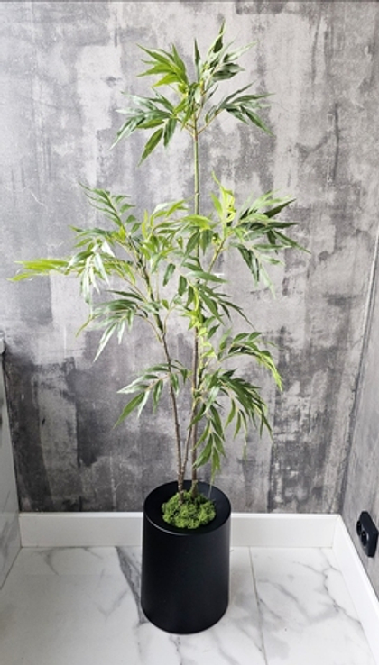 Дерево магнолия прицветниковая / Арт 3067