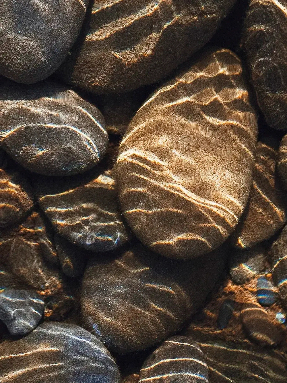 Наклейка интерьерная на холодильник природа камни