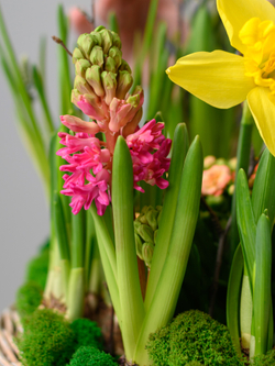 Корзина весны