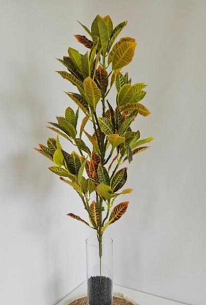 Дерево кротон / Арт 3062