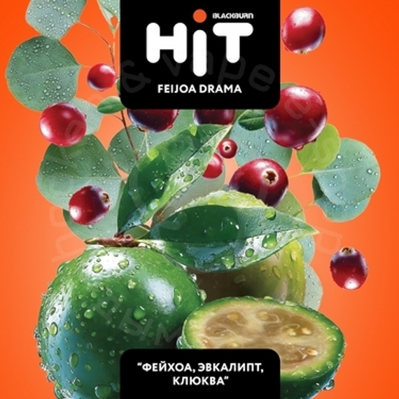 Табак для кальяна BLACKBURN HiT Feijoa Drama (Фейхоа Драма) с ароматом «фейхоа, эвкалипт, клюква», 3