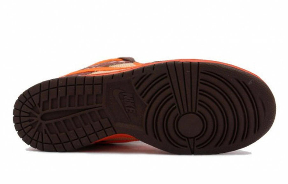 Кроссовки Nike Dunk Sb Reese Forbes