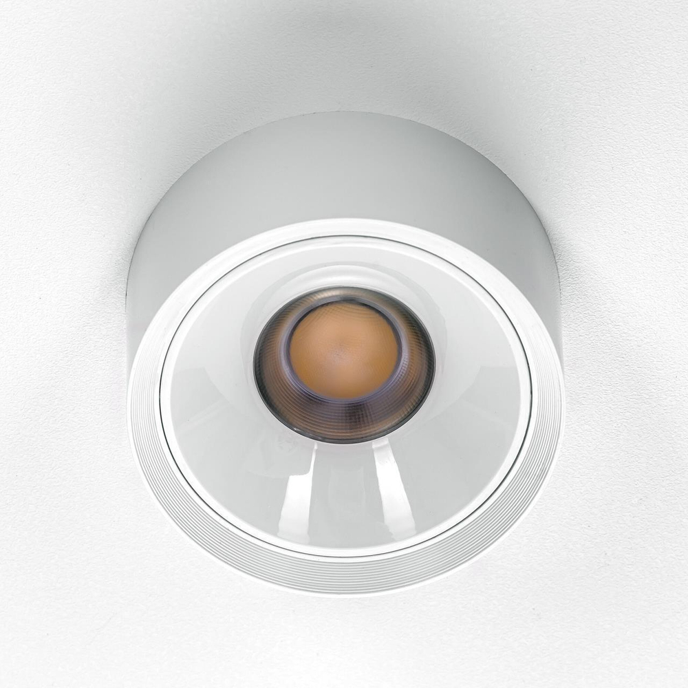 Накладной светодиодный светильник Citilux Rover CL743090N