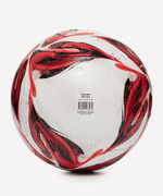 Мяч футбольный Triumph Pro №5