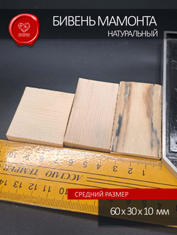 Бивень мамонта прямоугольники для изготовления мелких скульптур