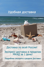 Ракушки Мамилла фиброса