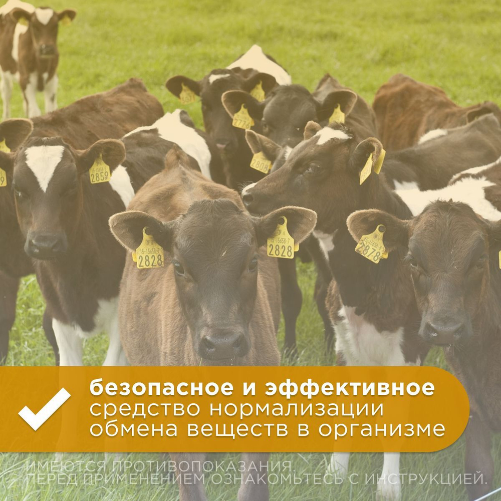 Витаминный препарат для инъекций для профилактики и лечения гиповитаминозов, рахита остемаляции АВЗ ВИТТРИ для собак, кошек и сельхоз животных, 100 мл
