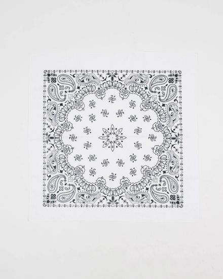 Бандана Anteater white