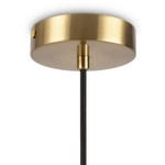 Подвесной светильник Freya Sara FR5130PL-01BS