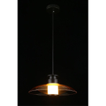 Подвесной светодиодный светильник Aployt Stefa APL.648.16.10