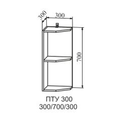 Корпус Шкаф верхний полка угловая 300 (ПТУ 300) (серый), ДСВ Мебель