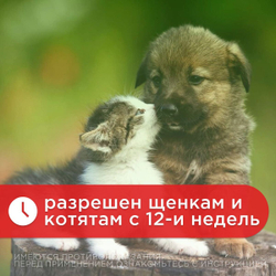 Капли для плотоядных животных от блох, клещей, вшей и власоедов для плотоядных животных Дана Спот-Он (Apicenna), 15мл Фипронил