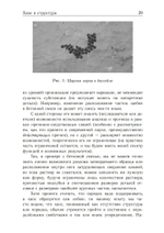 Хаос и магия (PDF)