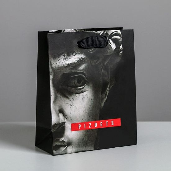 Пакет ламинированный вертикальный Pizdets, MS 18 × 23 × 10 см 4725257