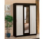 Шкаф купе Мираж 11