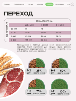 Корм сухой для котят породы Британская короткошёрстная, с ягненком, 2 кг, QUATTRO
