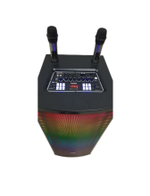 Напольная колонка COV CV-512 (100W/FM/USB/BT) караоке