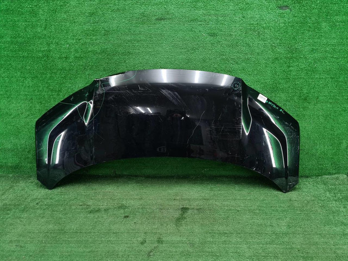 Капот Zeekr 009 (2022-н.в.)