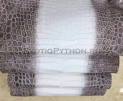 Кожа крокодила SK-44