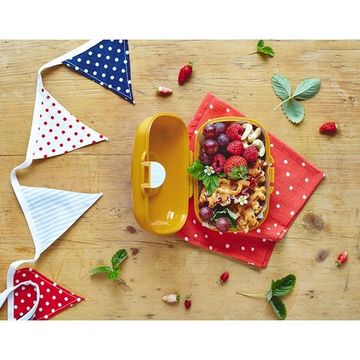 Ланч-бокс MB Gram горчичный