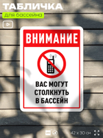 Табличка для бассейна "Внимание, вас могут столкнуть в бассейн", на пляж, для общественной и частной зоны отдыха, информационная, 40х30 см, Silver Plane x Айдентика Технолоджи