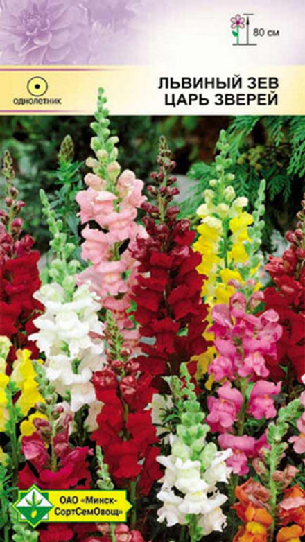 Львиный зев "Царь зверей" 0.2г, Германия.