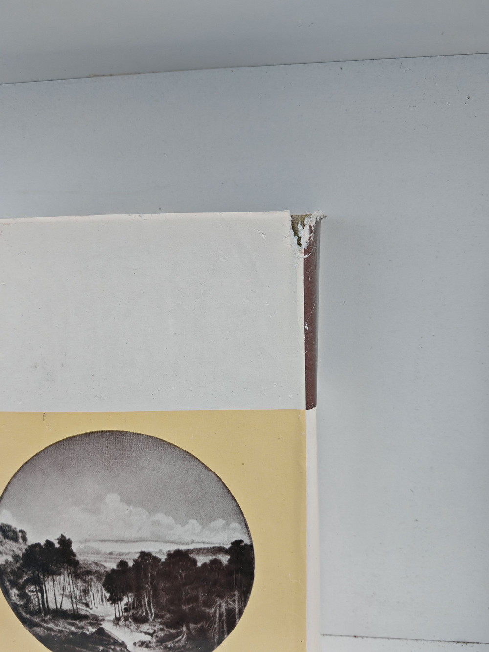 Зеленый Генрих