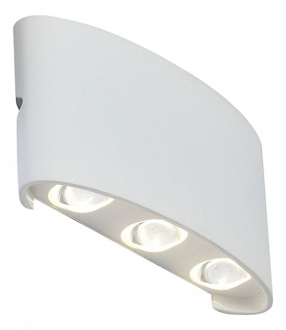 Уличный настенный светильник ST-Luce SL089.501.06