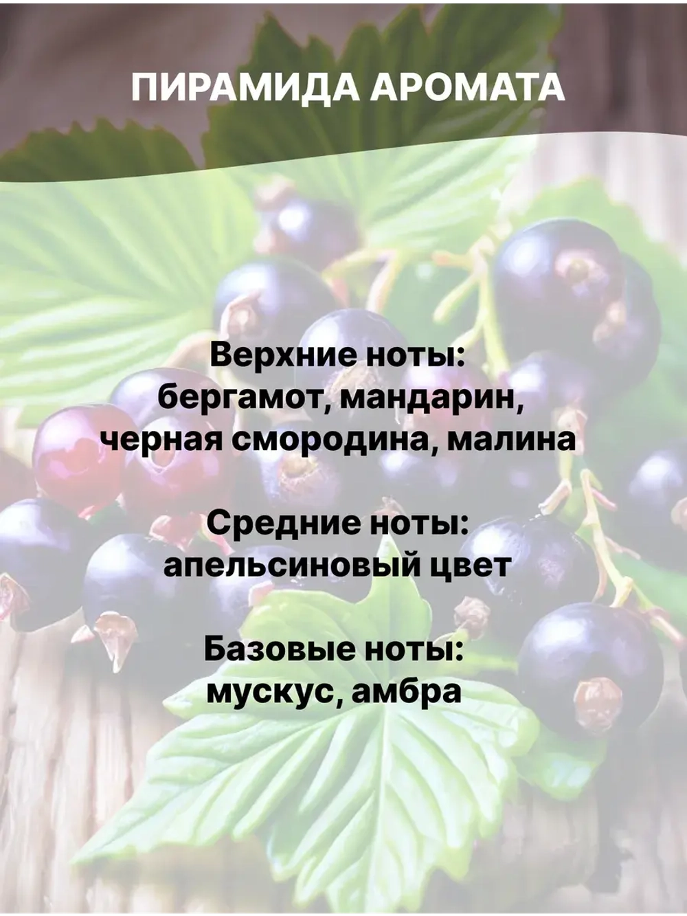 Отдушка Чёрная смородина 50 гр