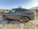 BMW X6 xDrive30d M Sport Pro