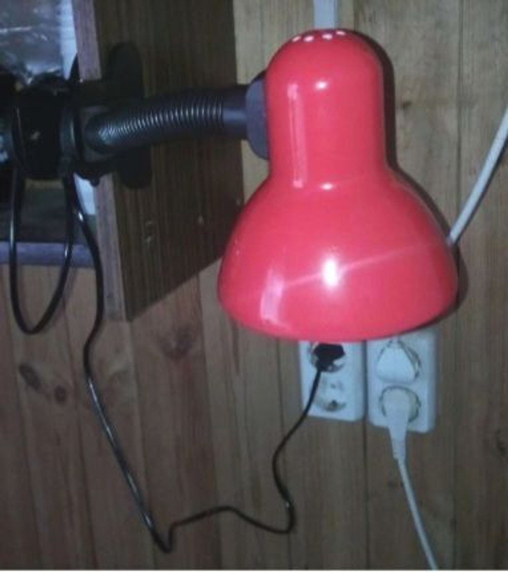 Светильник на прищепке Эра N-2 40W E27 красный