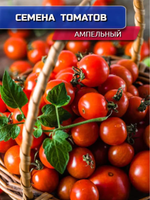 СЕМЕНА ТОМАТ АМПЕЛЬНЫЙ (ЧЕРРИ) Д, ЯРКО-КРАСН ДЛЯ ПОДОКОННИКА *20ШТ УРОЖАЙ ДОМА