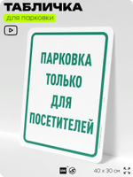 Табличка для парковки "Парковка только для посетителей", для дома, офиса, организаций, 40х30 см, Silver Plane x Айдентика Технолоджи
