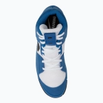 Борцовки Nike Fury team royal/white/black