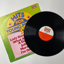 Винтажная виниловая пластинка LP The Hiltonaires Hits For Young People 4 (Germany 1975)