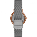 Женские наручные часы Skagen SKW2996