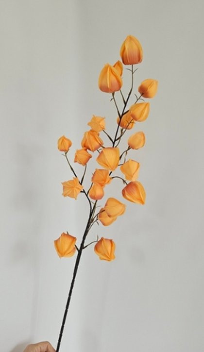 Физалис / Арт 2297