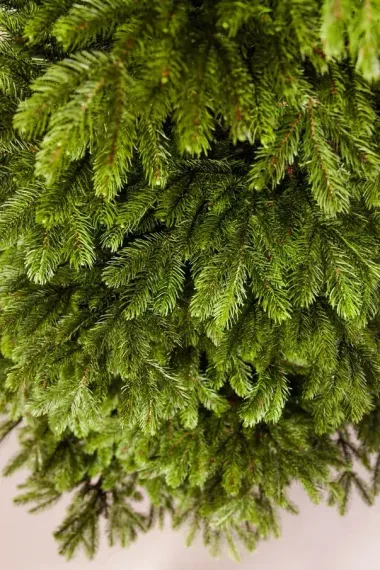 Ель Коттеджная 260 см., литая хвоя+пвх, TreeDeLux (70075)