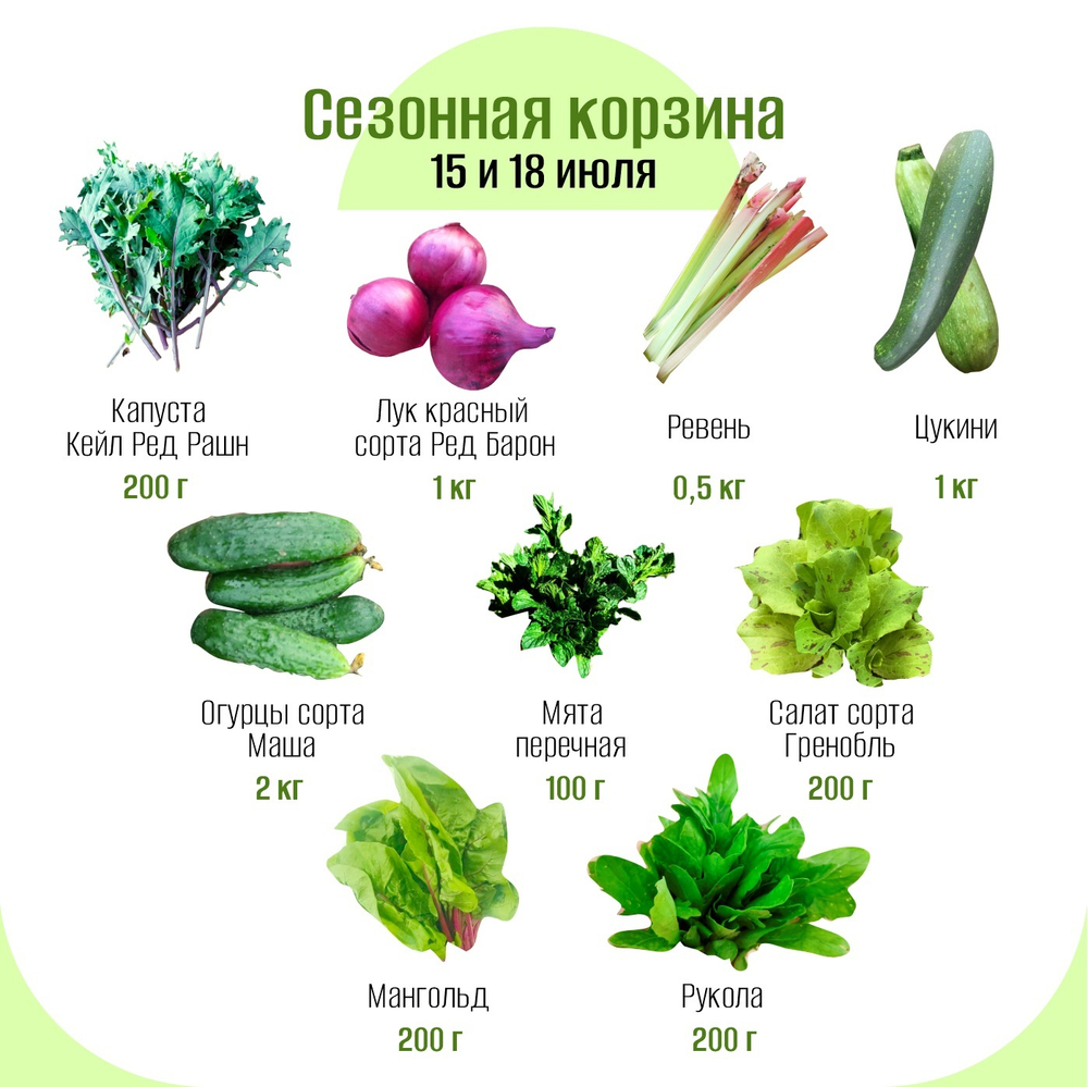 Сезонная корзина