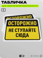 Табличка для обеспечения безопасности "Осторожно, тут делать нечего", для офиса, по охране труда для предприятия, организаций, 40х30 см, Silver Plane x Айдентика Технолоджи