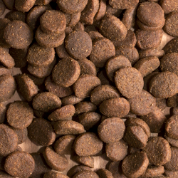 Сухой корм ProBalance Adult Active для взрослых собак с высокой активностью